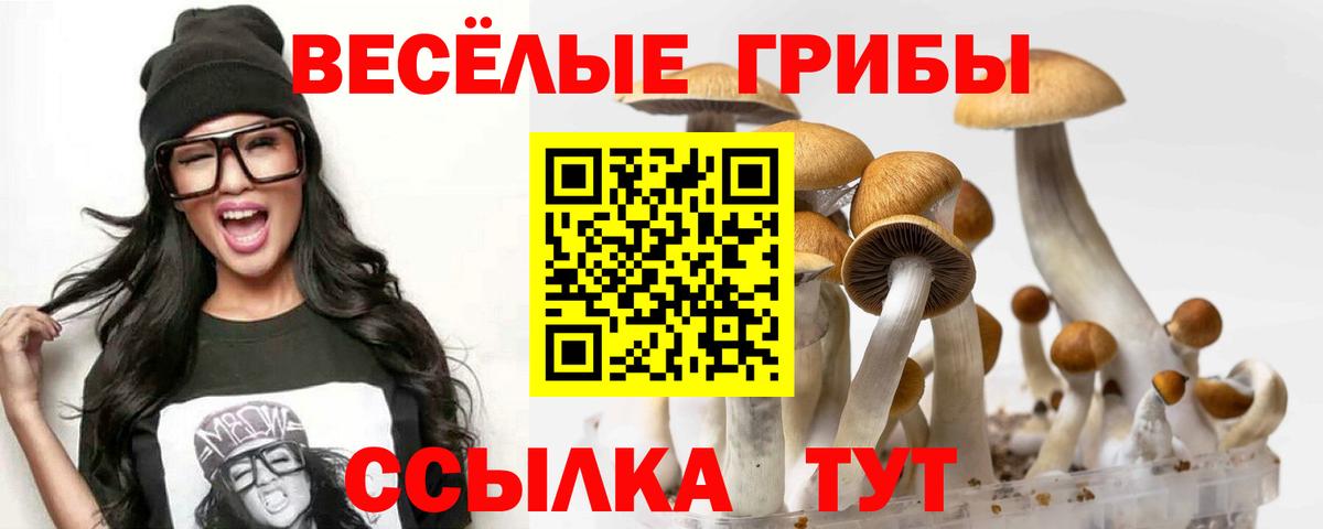Хабаровск  Галлюциногенные грибы GOLDEN TEACHER  Вход с VPN 